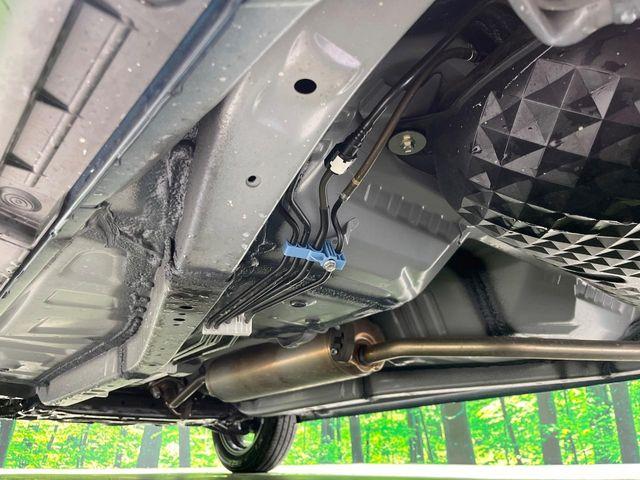 タフト(新潟県長岡市)