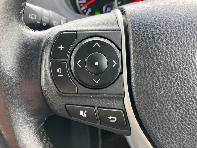 ヴォクシー(新潟県長岡市)