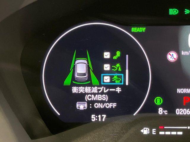 ヴェゼル（新潟県新潟市南区）