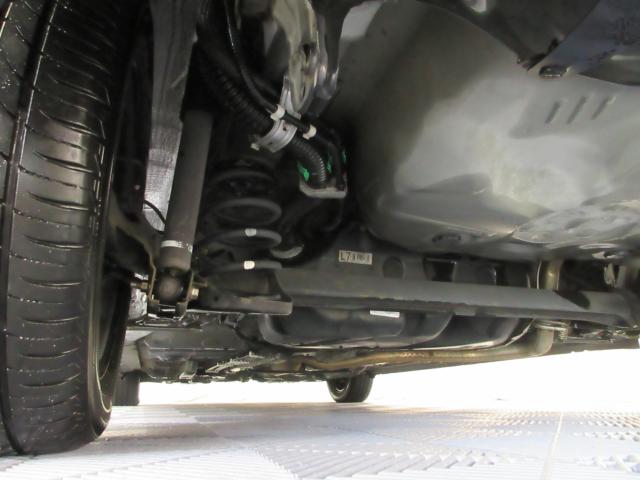 スペイド（新潟県新潟市南区）画像61