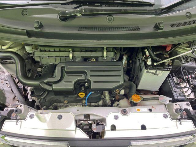 ステラ（新潟県長岡市）