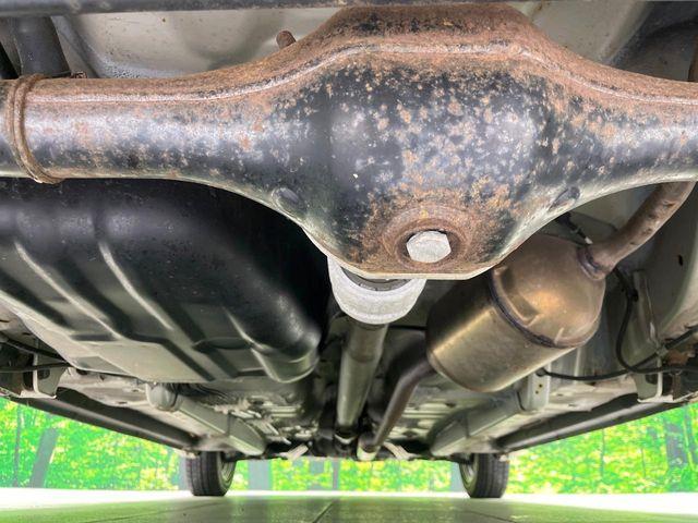 ステラ（新潟県長岡市）