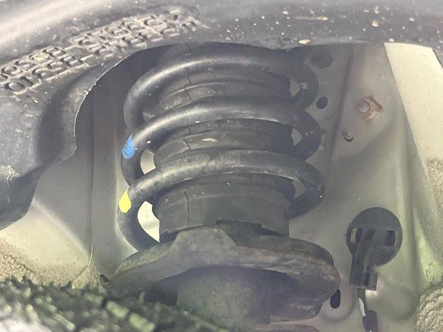 ステラ（新潟県長岡市）