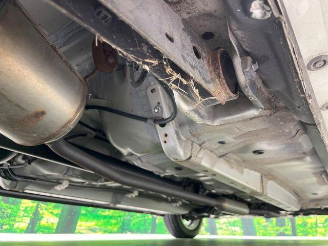 ステラ（新潟県長岡市）