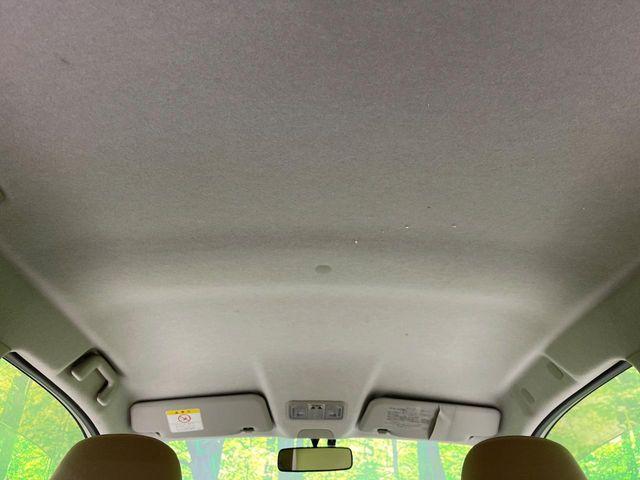 ステラ（新潟県長岡市）