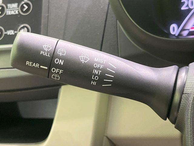 ステラ（新潟県長岡市）