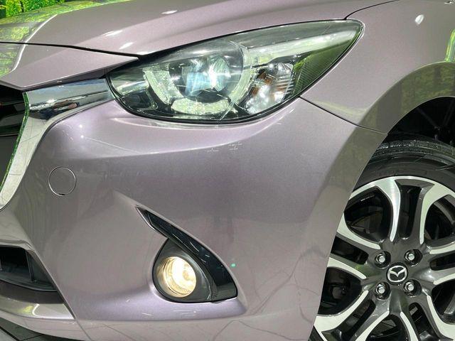 デミオ（新潟県長岡市）