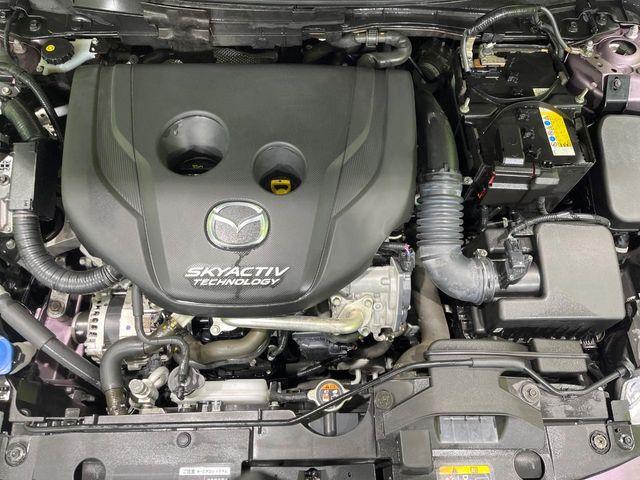 デミオ（新潟県長岡市）