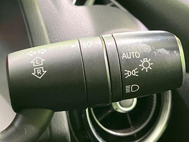 デミオ（新潟県長岡市）