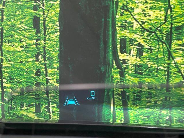 デミオ（新潟県長岡市）