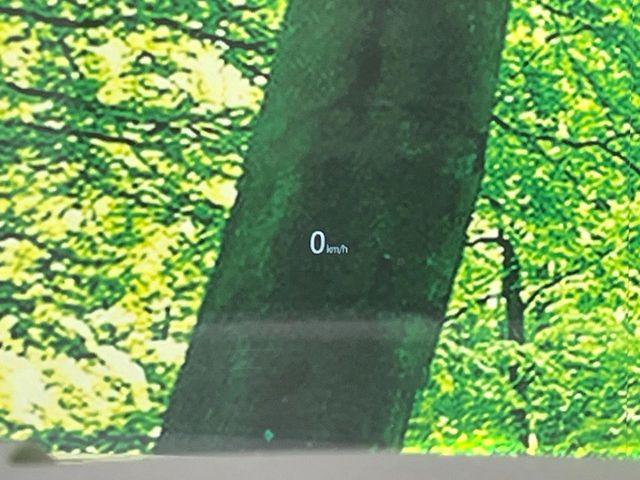 CX-8（新潟県長岡市）画像65