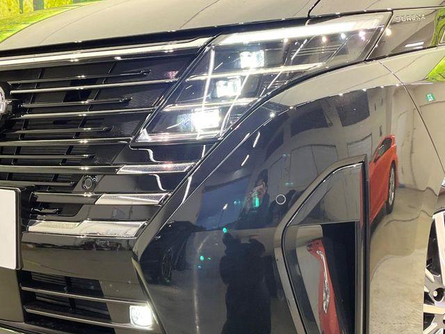 セレナ（新潟県新潟市南区）