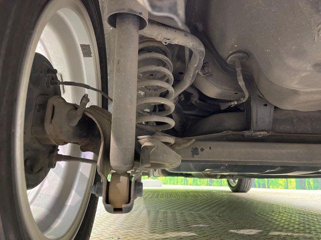 ステラ（新潟県新潟市南区）