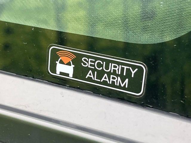 ステラ（新潟県新潟市南区）