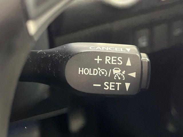 ハリアー（新潟県新潟市南区）