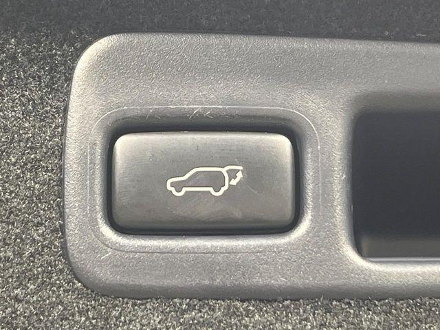 ハリアー（新潟県新潟市南区）