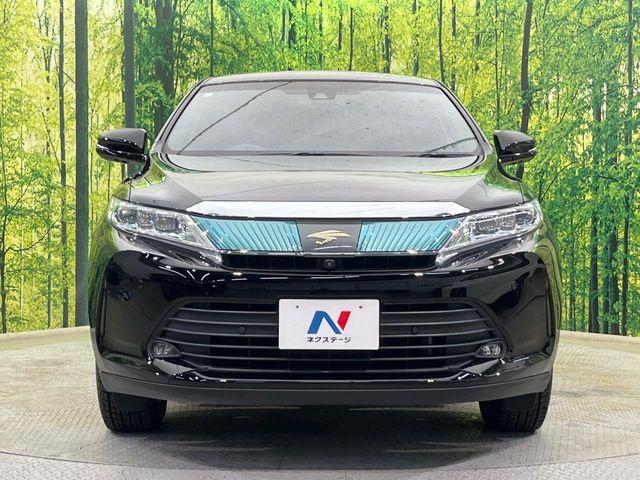 ハリアー（新潟県新潟市南区）