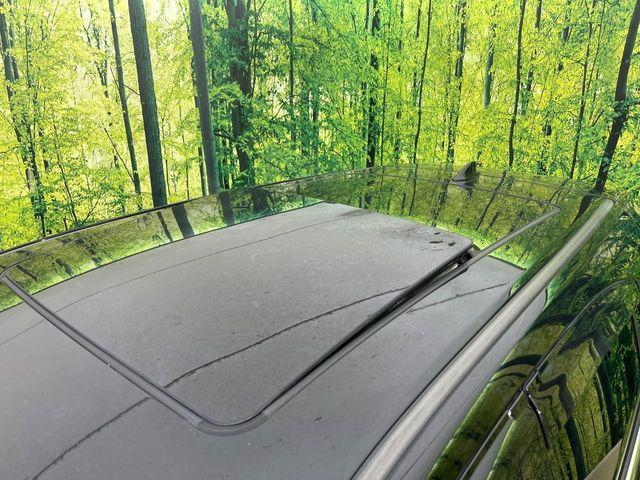 ハリアー（新潟県新潟市南区）