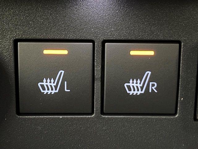 ロッキー（新潟県新潟市南区）画像8