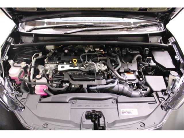 プリウス（新潟県新潟市東区）