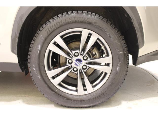 レクサスＮＸ（新潟県新潟市東区）