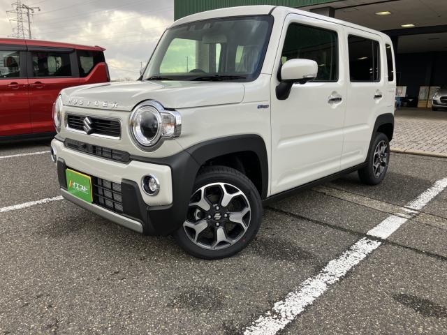 ハスラー（新潟県新潟市西蒲区）