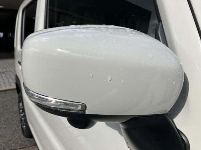 ハスラー（新潟県新潟市西蒲区）