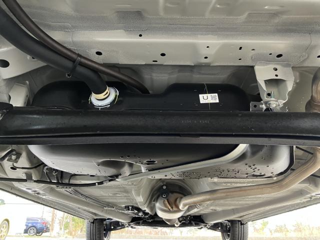 ハスラー（新潟県新潟市西蒲区）