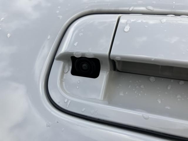 ハスラー（新潟県新潟市西蒲区）