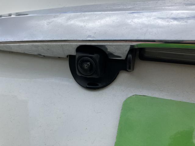 シルフィ（新潟県新潟市西蒲区）