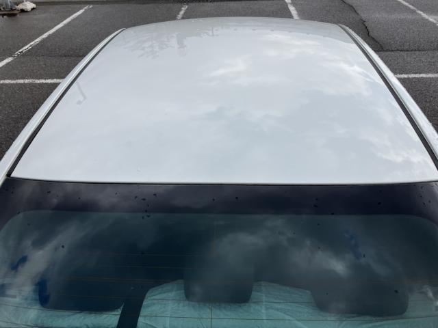 シルフィ（新潟県新潟市西蒲区）