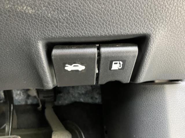 シルフィ（新潟県新潟市西蒲区）