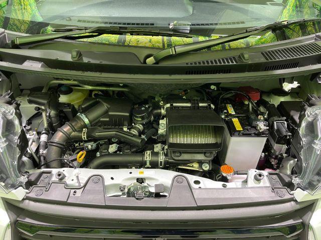 タント（新潟県長岡市）