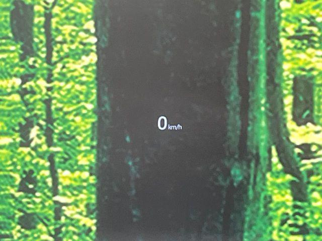 CX-5（新潟県長岡市）