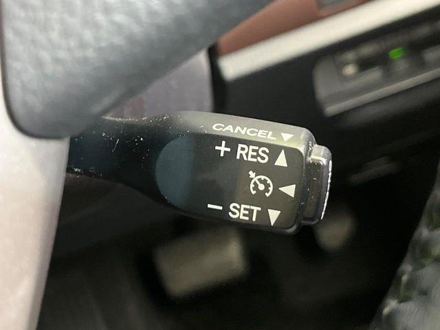 エスクァイア（新潟県新潟市南区）