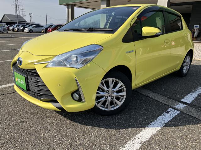 ヴィッツ（新潟県新潟市西蒲区）