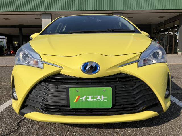 ヴィッツ（新潟県新潟市西蒲区）