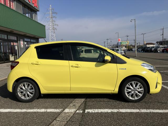 ヴィッツ（新潟県新潟市西蒲区）