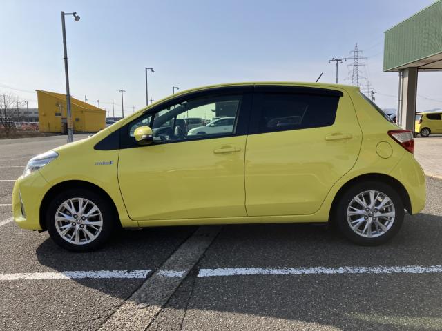 ヴィッツ（新潟県新潟市西蒲区）