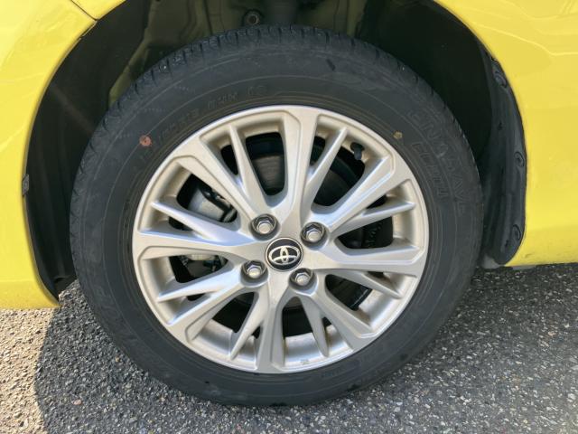 ヴィッツ（新潟県新潟市西蒲区）