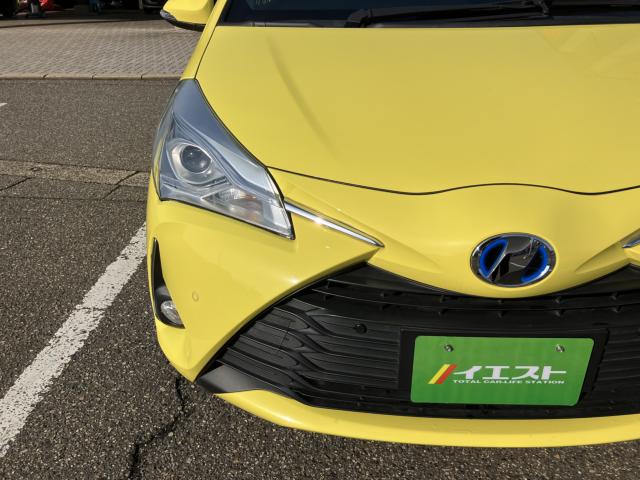 ヴィッツ（新潟県新潟市西蒲区）