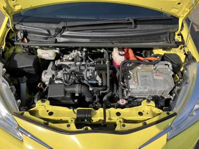 ヴィッツ（新潟県新潟市西蒲区）