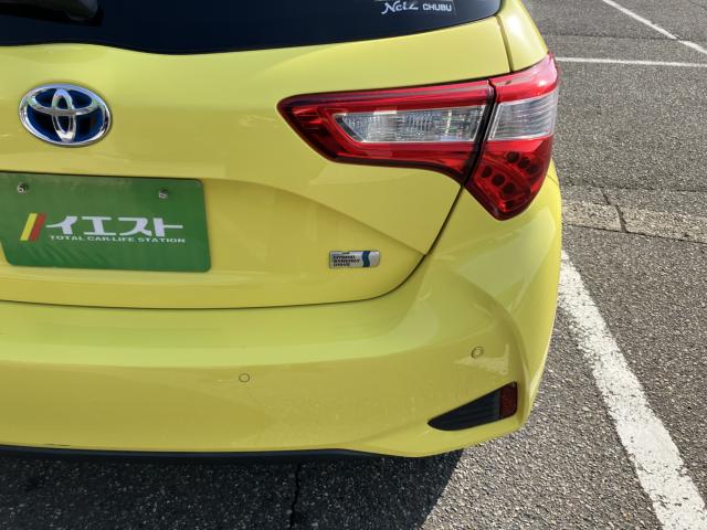 ヴィッツ（新潟県新潟市西蒲区）