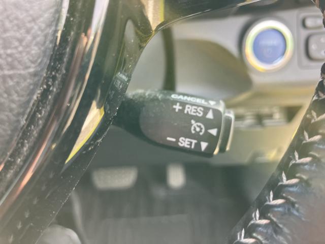 ヴィッツ（新潟県新潟市西蒲区）