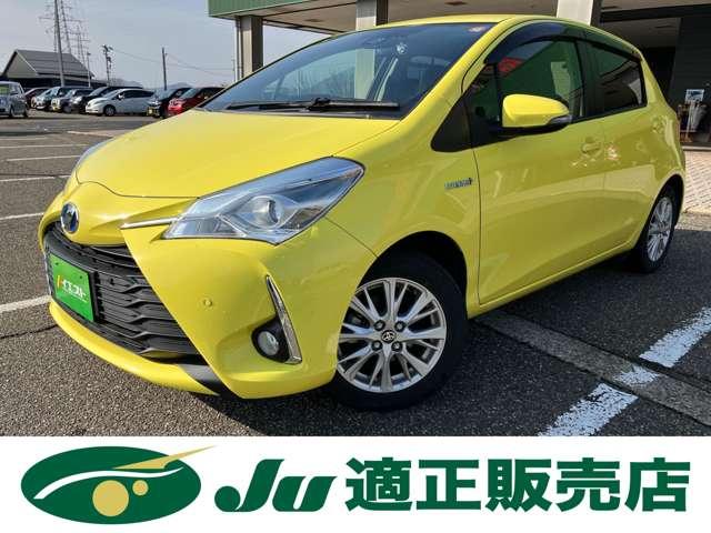 ヴィッツ（新潟県新潟市西蒲区）