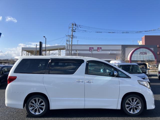 アルファード（新潟県新潟市西区）