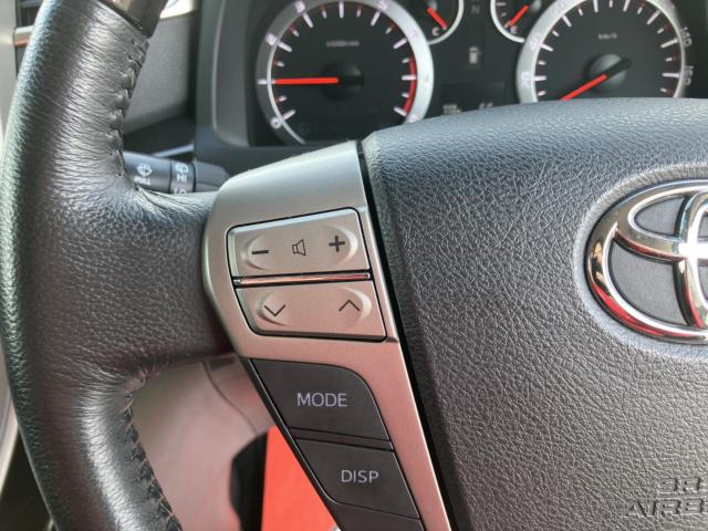 アルファード（新潟県新潟市西区）