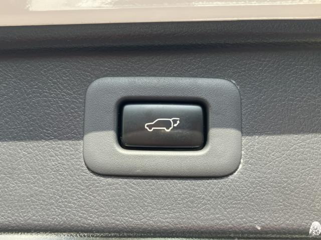 アルファード（新潟県新潟市西区）