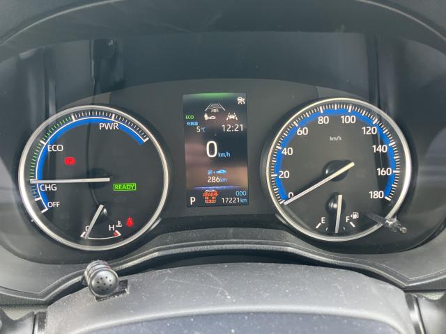 ランディSハイブリッド（新潟県長岡市）