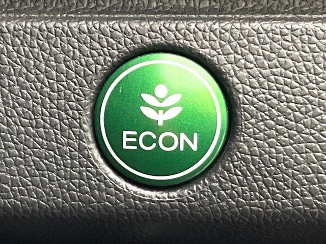 フィット（新潟県新潟市東区）